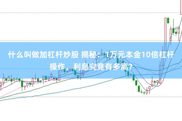 什么叫做加杠杆炒股 揭秘：1万元本金10倍杠杆操作，利息究竟有多高？