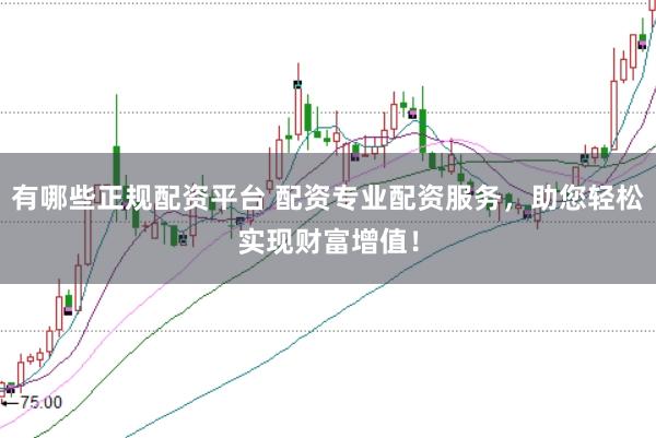 有哪些正规配资平台 配资专业配资服务，助您轻松实现财富增值！