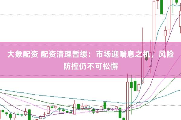 大象配资 配资清理暂缓：市场迎喘息之机，风险防控仍不可松懈