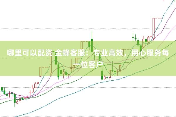 哪里可以配资 金蜂客服：专业高效，用心服务每一位客户