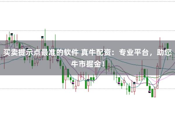 买卖提示点最准的软件 真牛配资：专业平台，助您牛市掘金！
