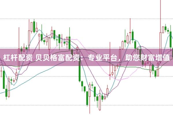 杠杆配资 贝贝格富配资：专业平台，助您财富增值